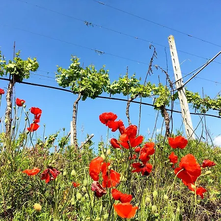Séjour à la campagne Residenza Eden