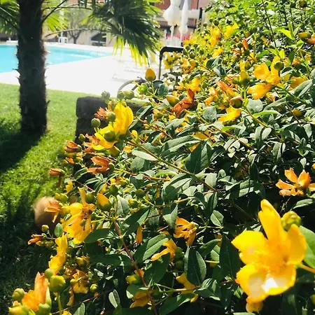Residenza Eden Літній будинок Cola (Verona)