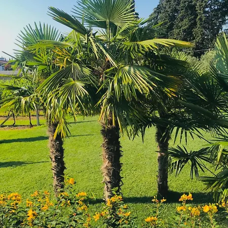 Літній будинок Residenza Eden