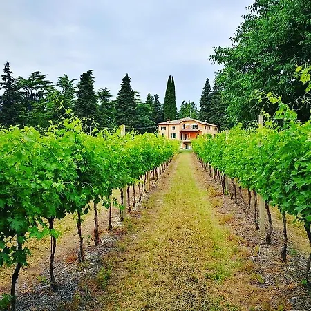 Residenza Eden Літній будинок Cola (Verona)